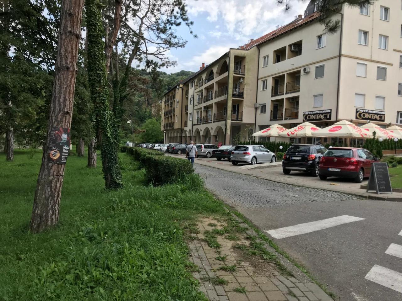 Apartment Danica Banja Koviljaca Exterior photo